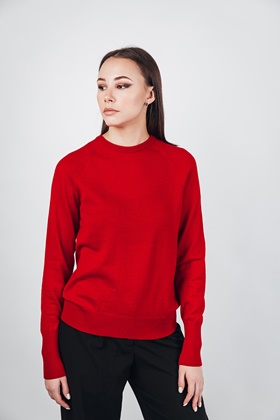Предлагается по доступной цене дизайнерский пуловер с круглым воротом APART из мериносовой шерсти в интернет-магазине Апарт